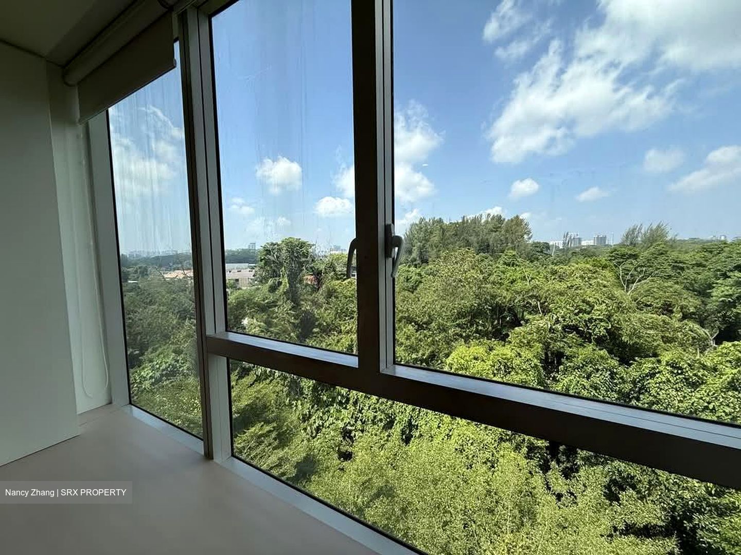 Floridian (D21), Condominium #595117641